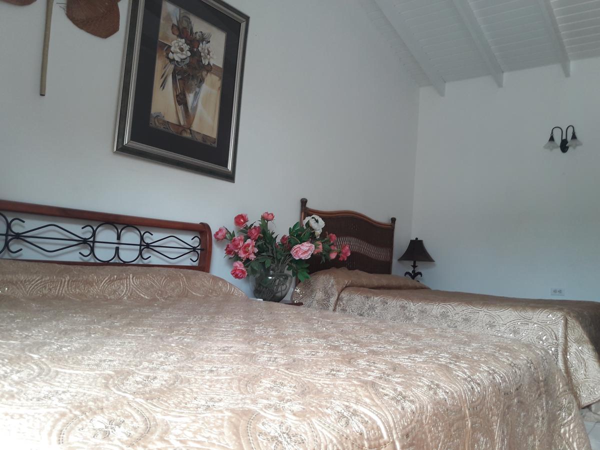 Aruba Harmony Apartments Oranjestad Ngoại thất bức ảnh